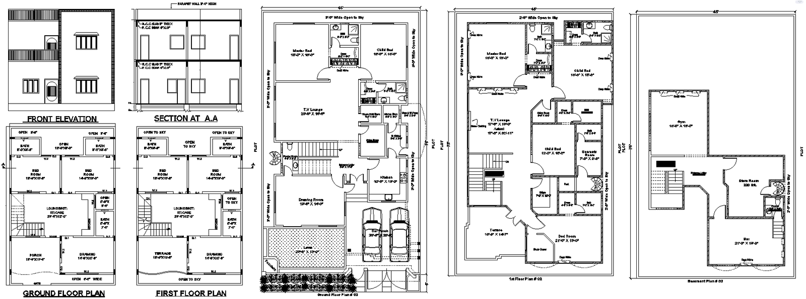 DWG layout of two contemporary homes in one design