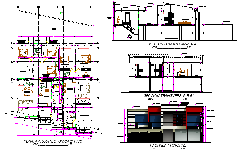 Elevation, section and structural layout of single family house project dwg file