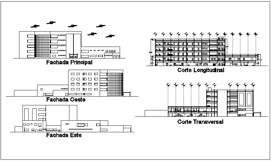 Elevation and different axis section view for hospital dwg file