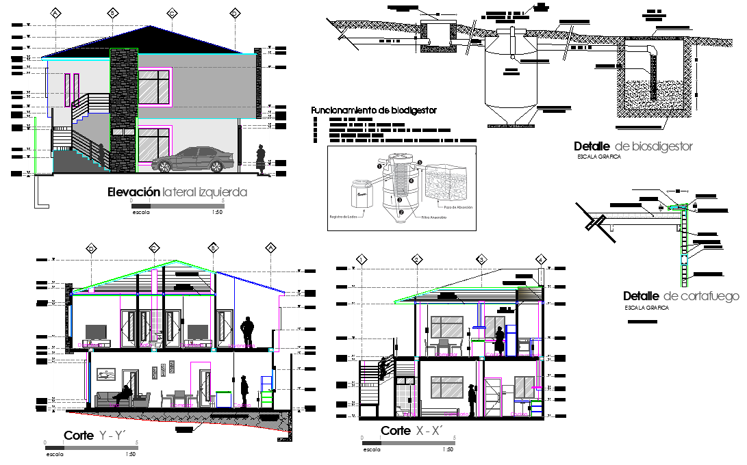 Elevation and section story house dwg file