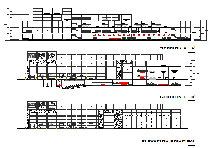 Elevation and section view of government building dwg file