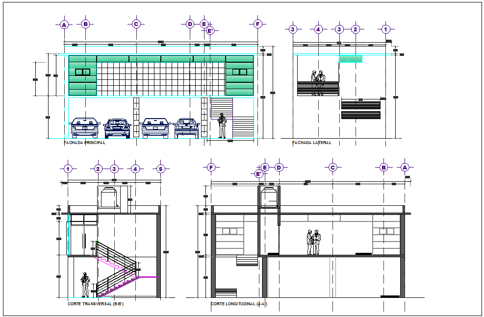 Elevation and section view of government board room dwg file