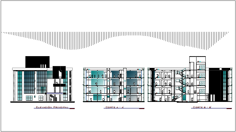 Elevation and section view of municipal building dwg file