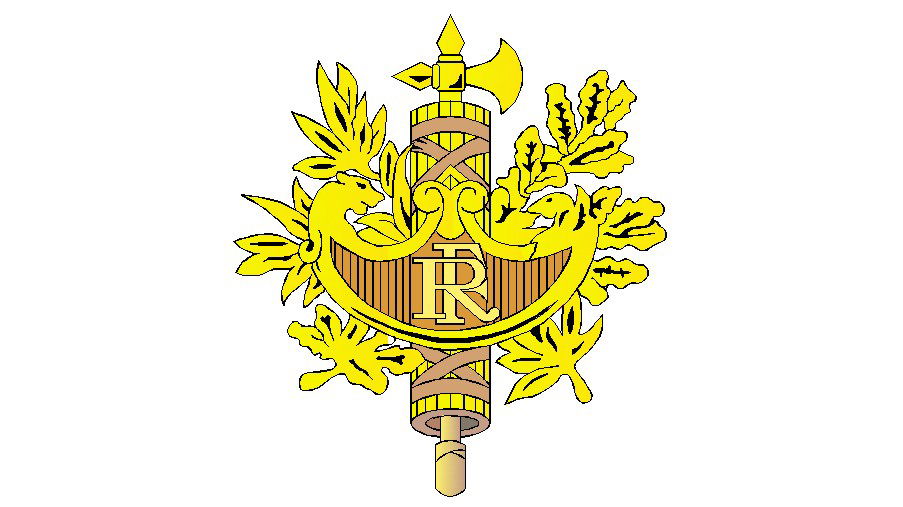 Emblem of France logo 3d block cad drawing details dwg file