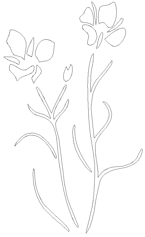 Flower freehand design DXF AutoCAD drawing