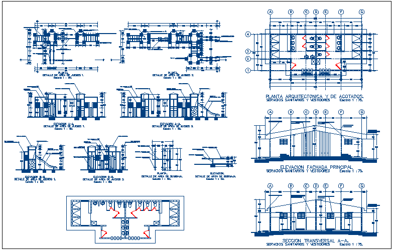Football play sports center detailed architecture project dwg file