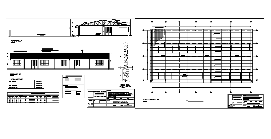 Foundation plan and roof elevation detail dwg file