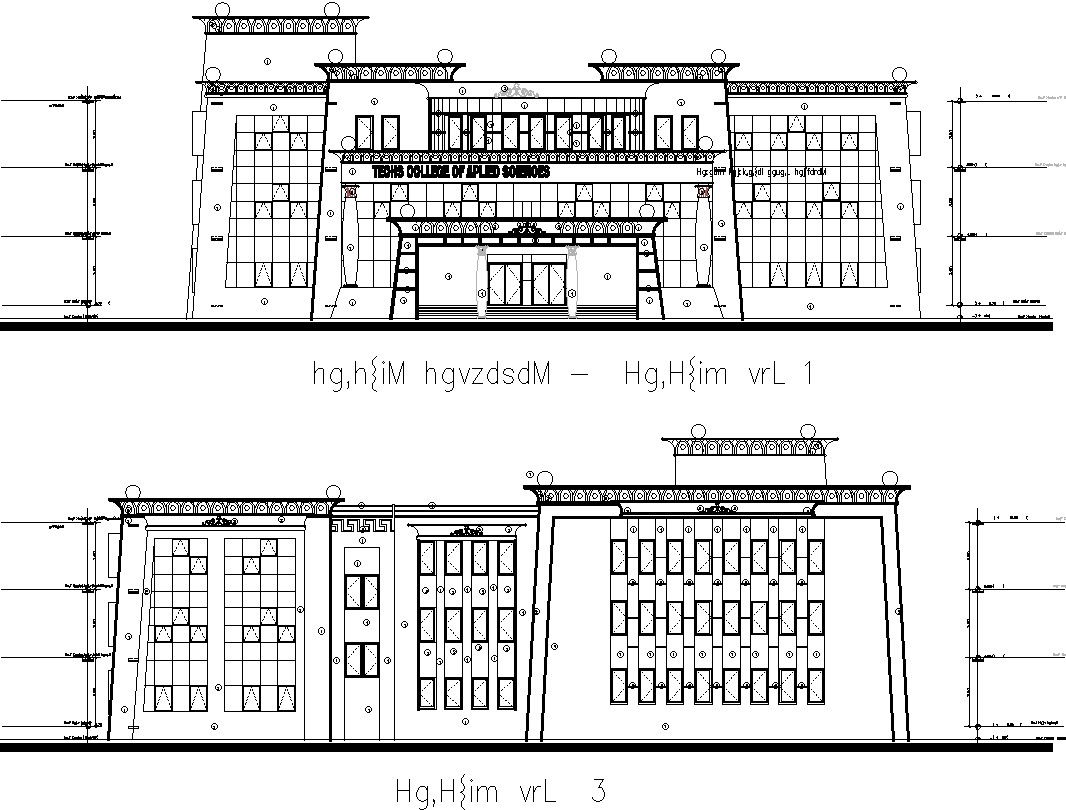 Front view and side view of college with Detail AutoCAD drawing
