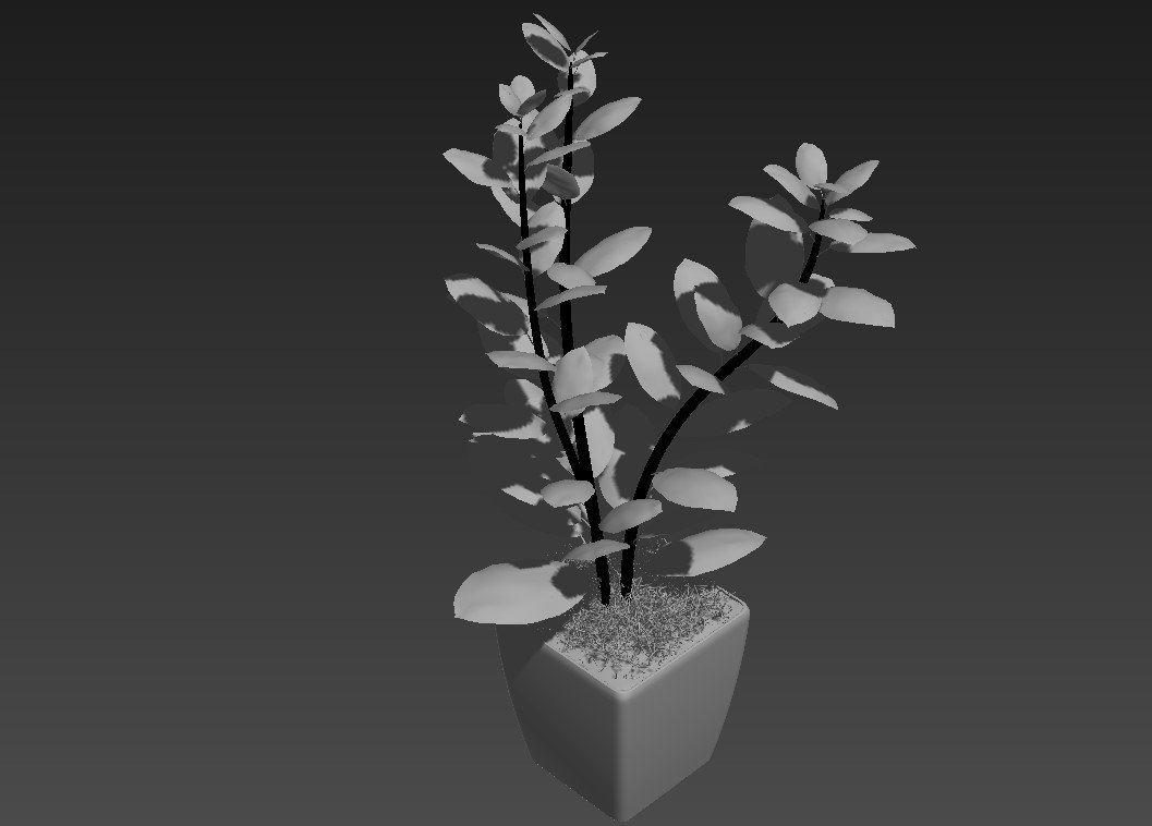 Garden Plants 3D Models Free Download