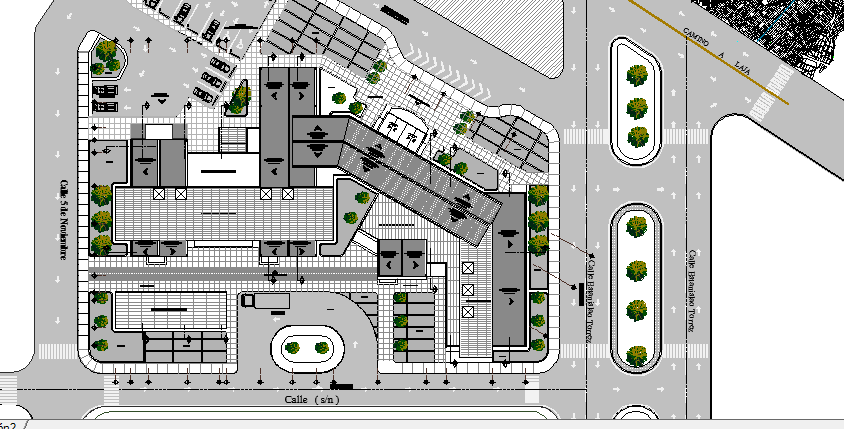 General Health Center Landscaping and Structure Details dwg file