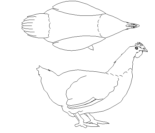Hans top view and side view elevation design block dwg file