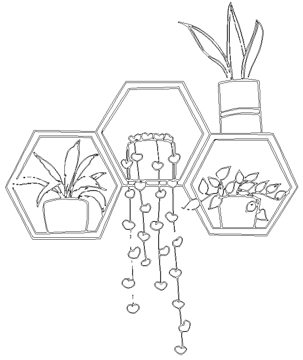 Hexagon wall shelves and plant decoration design DWG AutoCAD drawing