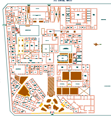 Hospital Layout