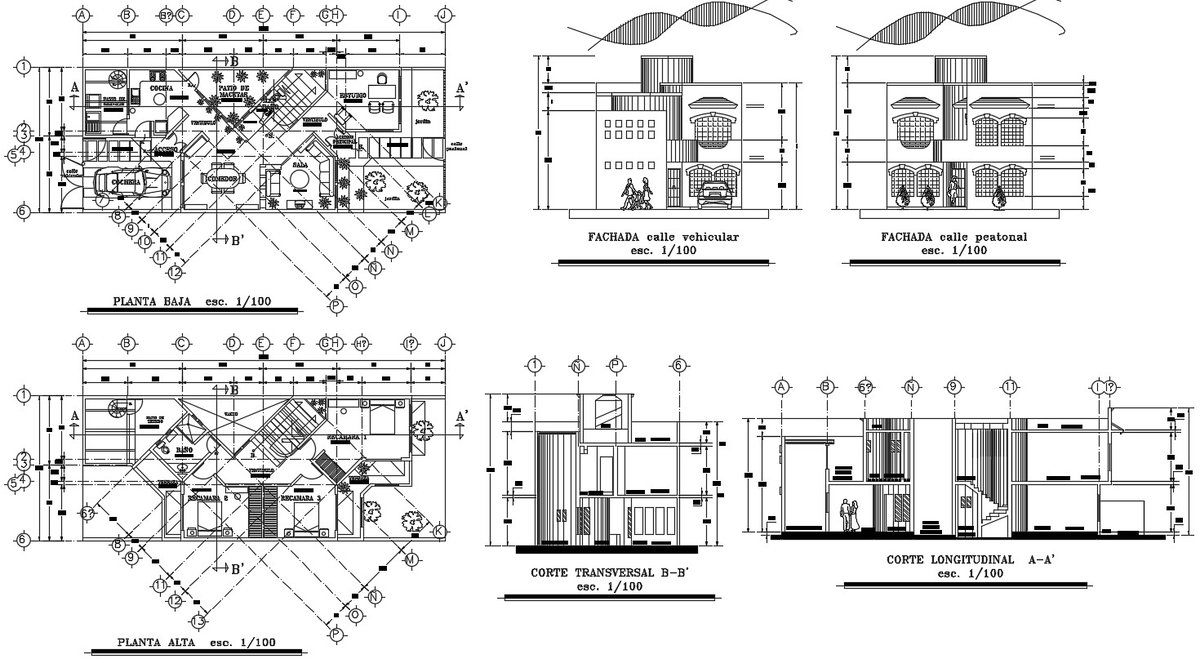 Residential House Architecture Plan Elevation and Section AutoCAD