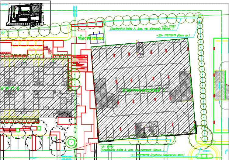 House-LA-28_tree-zoneC