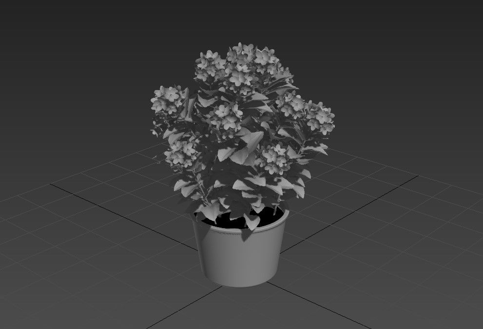 Landscape Plant 3d Max file free download