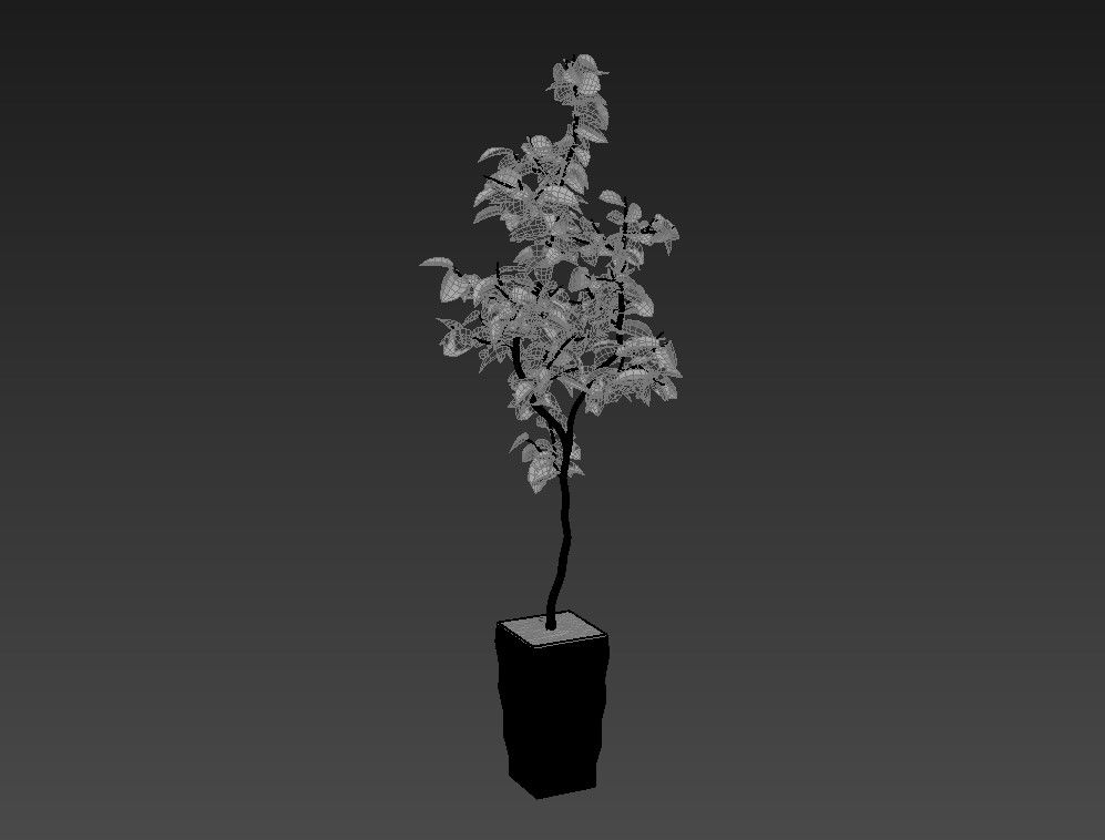 Landscape Plant 3d model 