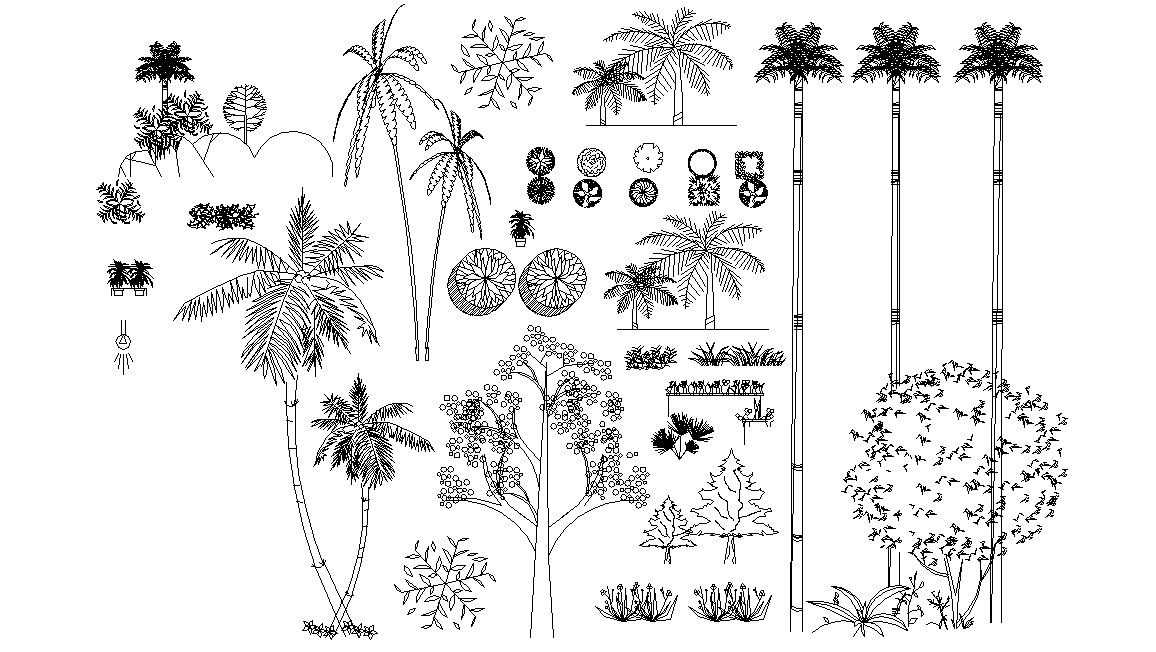 Landscape Plants and Trees AutoCAD Blocks Free Download
