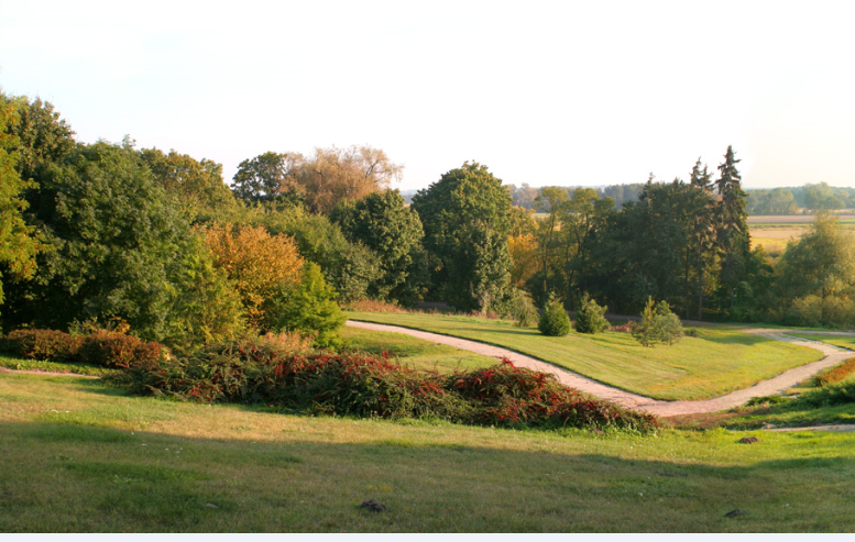 Landscaping details of house backyard dwg file