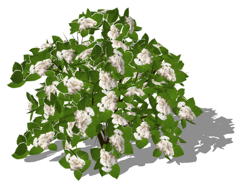 Landscaping plants detail 3d model CAD blocks layout sketch-up file