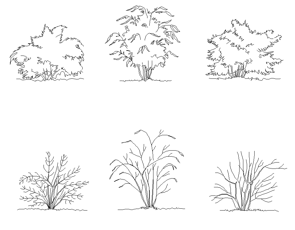 Landscaping plants detail elevation 2d view layout file