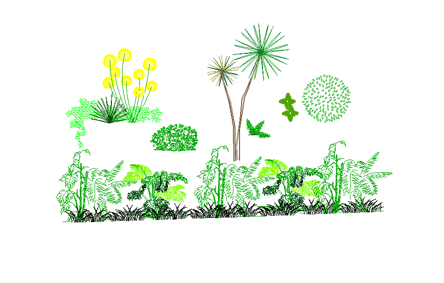 Landscaping trees and plants layout autocad file