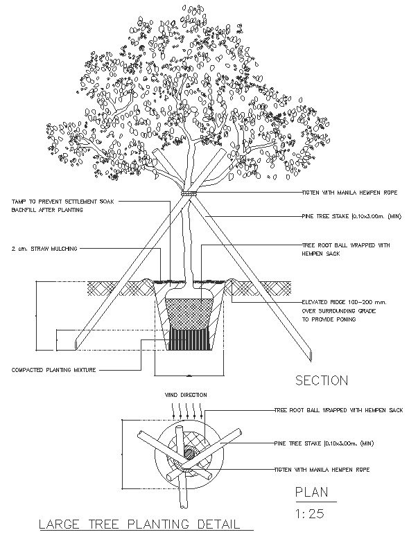 Large Tree Planting Detail with Section Plan DWG File