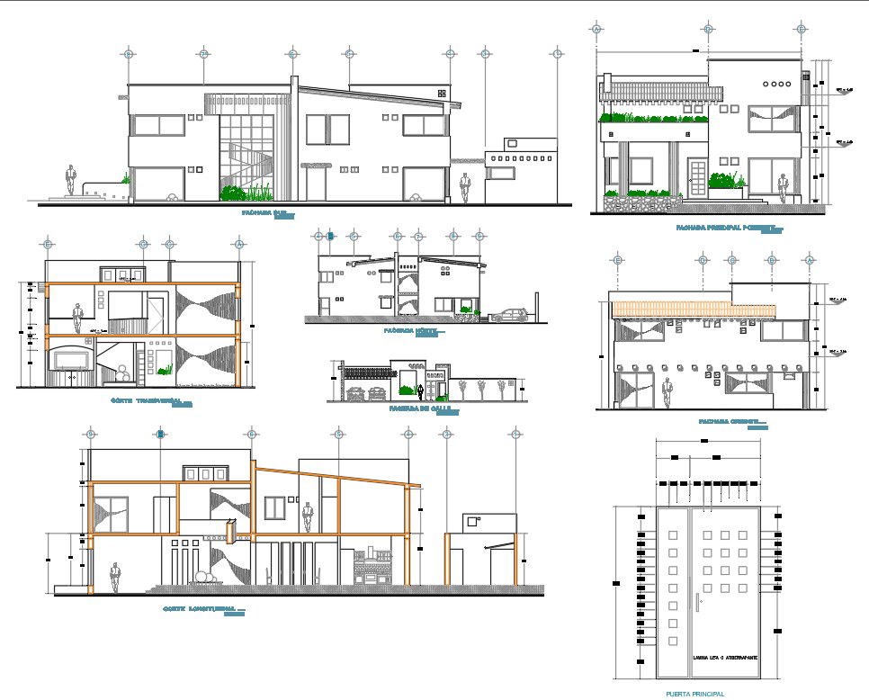 Luxurious House Building Sectional Elevation Design AutoCAD File