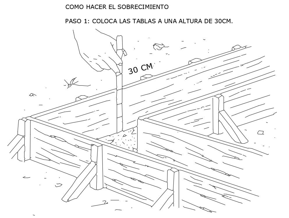 Surface Making Detail Provided in AutoCAD Drawing File