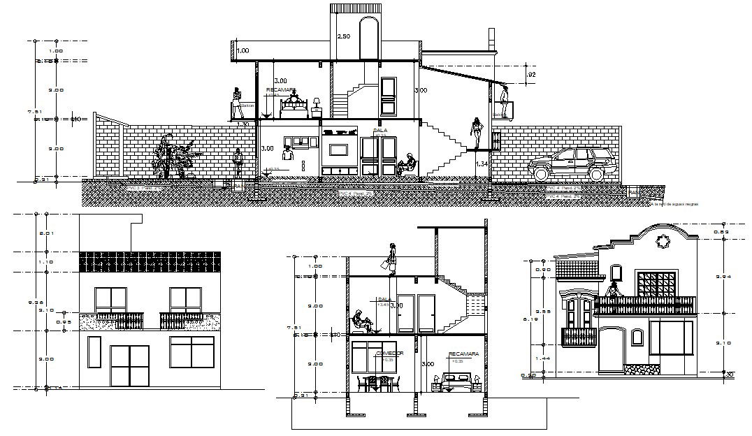 Mansion Design Elevation and Section CAD drawing