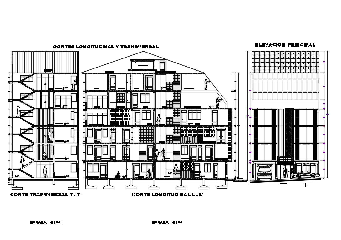 Multi-family residential building main elevation and transverse and longitudinal section details dwg file