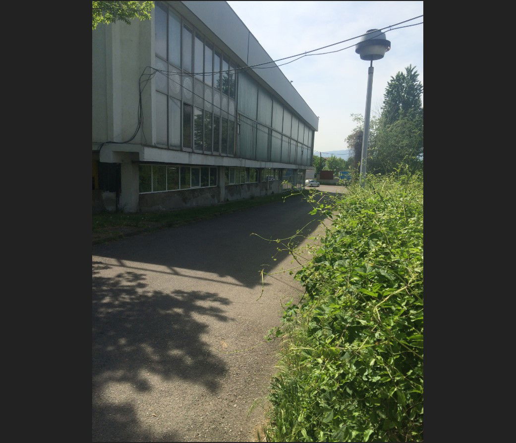 Multi-Level Corporate Office Building 3D CAD Back View DWG File