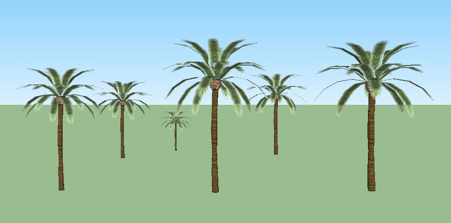 Multiple 3d coconut tree blocks cad drawing details skp file