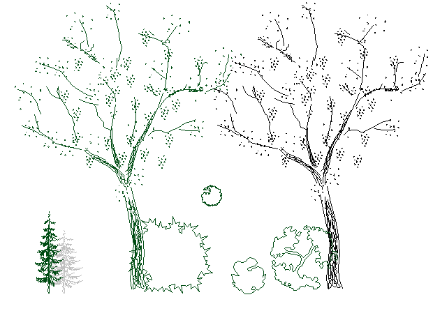 Multiple tree and plant cad blocks design dwg file