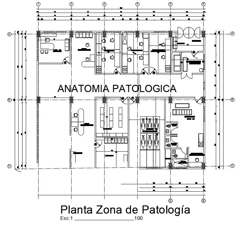 Pathological anatomy lab design stated in this AutoCAD drawing file | Download 2d AutoCAD drawing file.