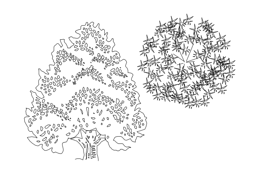 Plan and elevation of tree block view dwg file