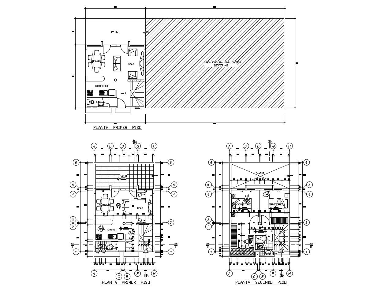Plan of the single family house with furniture details in dwg file