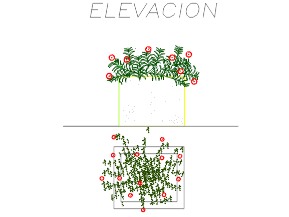 Plant elevation and plan detail dwg file
