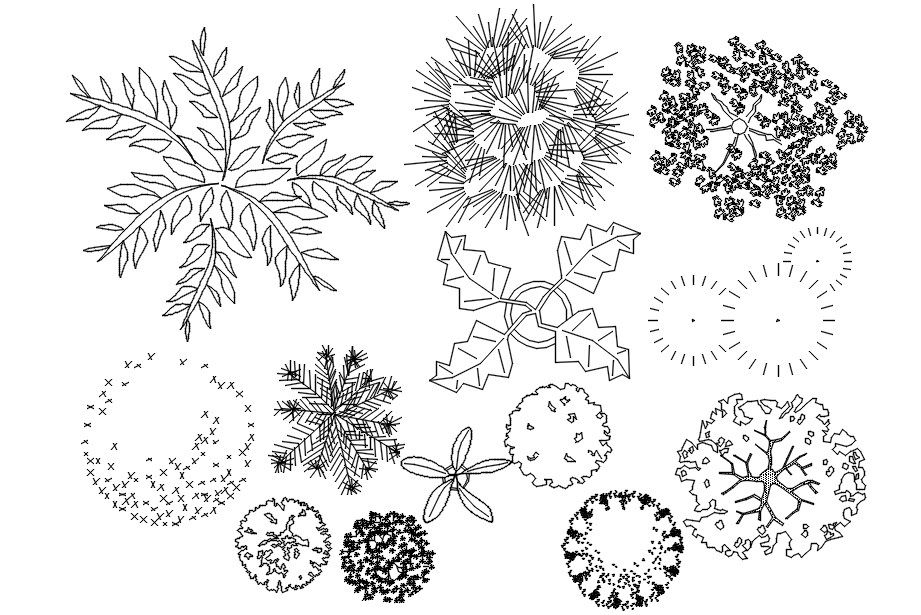 Plant and Bushes Plan Blocks in AutoCAD DWG for Landscape Design