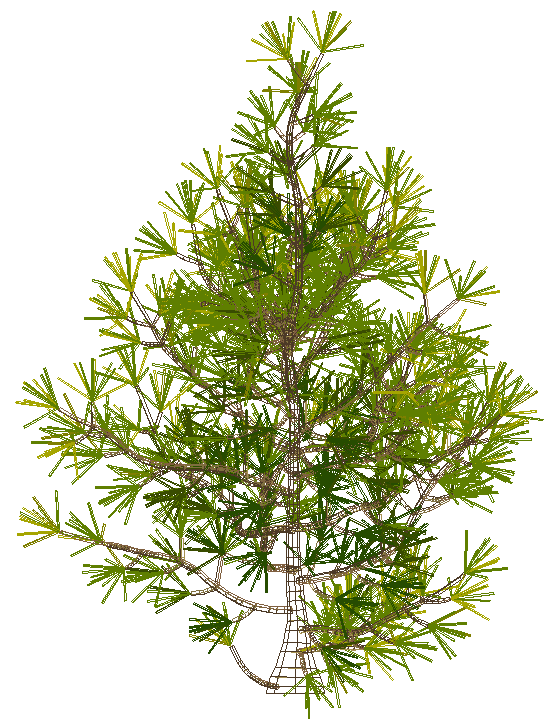 Plant for landscape design dxf autocad drawing .