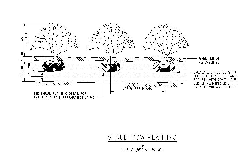 Planting Trees and Bushes CAD DWG file free download