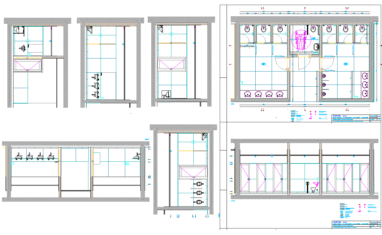 Public Toilet AutoCAD Plan with Plumbing Layout and Section Details