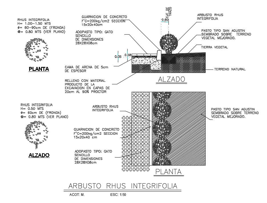 Rhus Integrifolia Plant Blocks Drawing Download DWG File