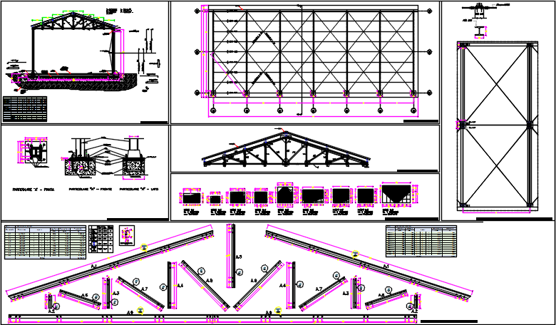 Roof plan and king post detail and section plan detail dwg file