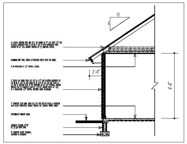 Roof side section detailing in DWG file