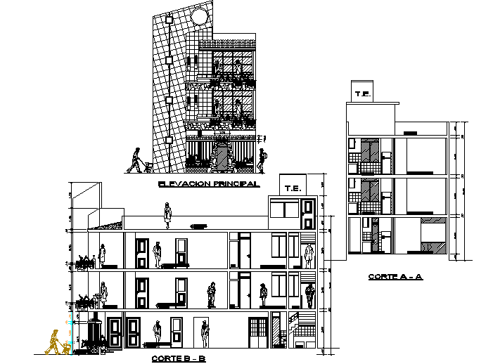 Section and elevation detail dwg file