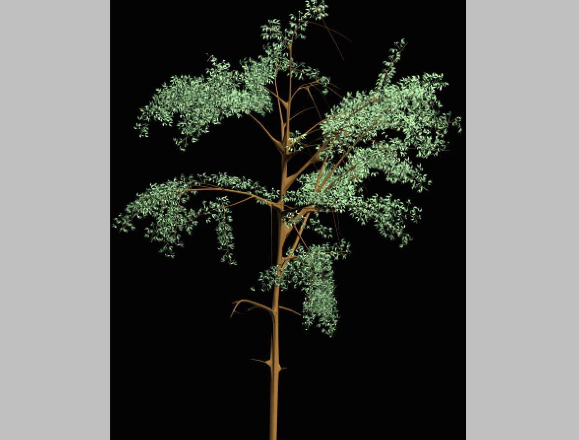 Single tree block night view 3d elevation cad block details dwg file