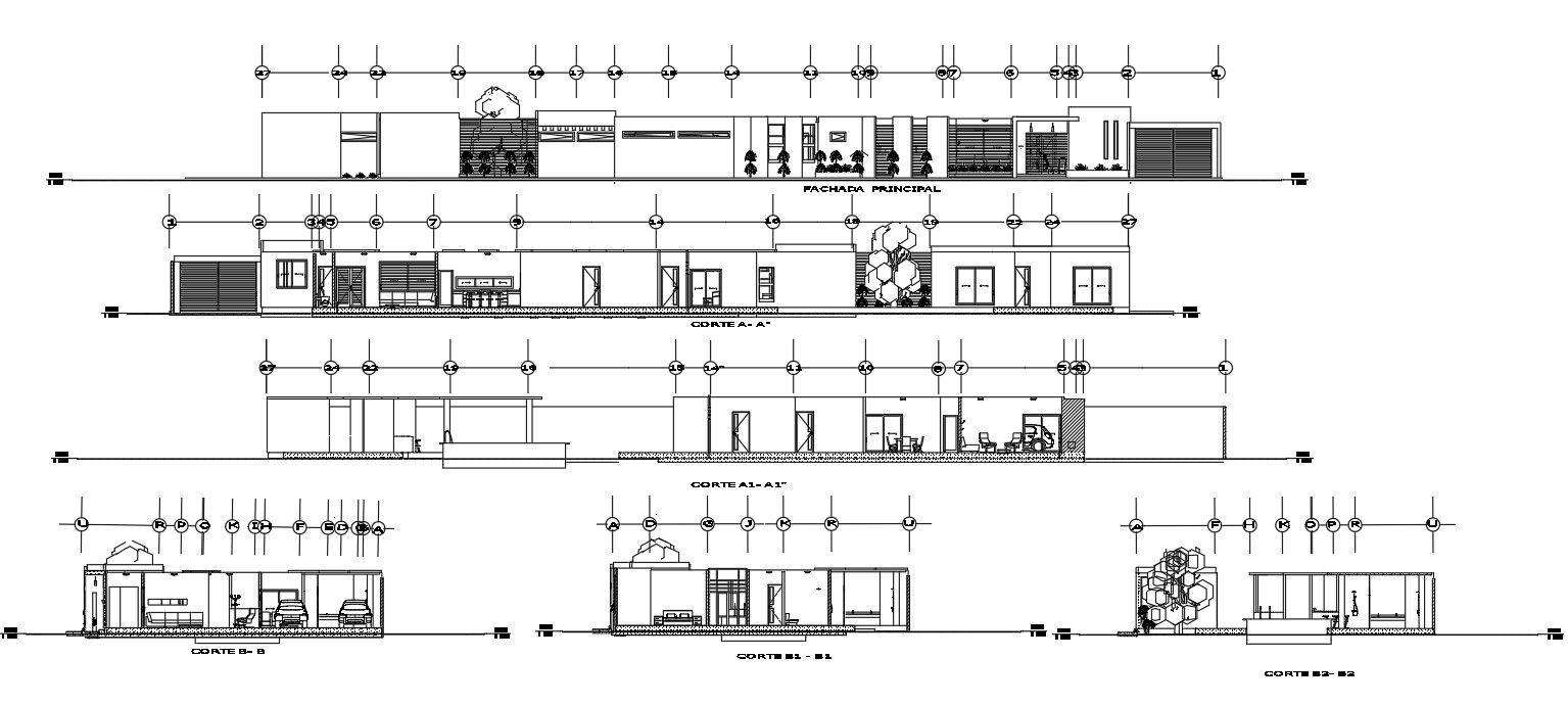 Single Storey Modern House Sectional Elevation Design DWG File