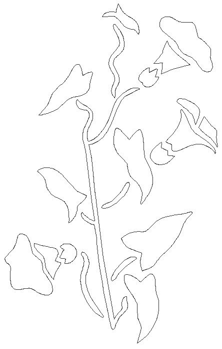 Stock vector images of Creeping plant DWG AutoCAD file