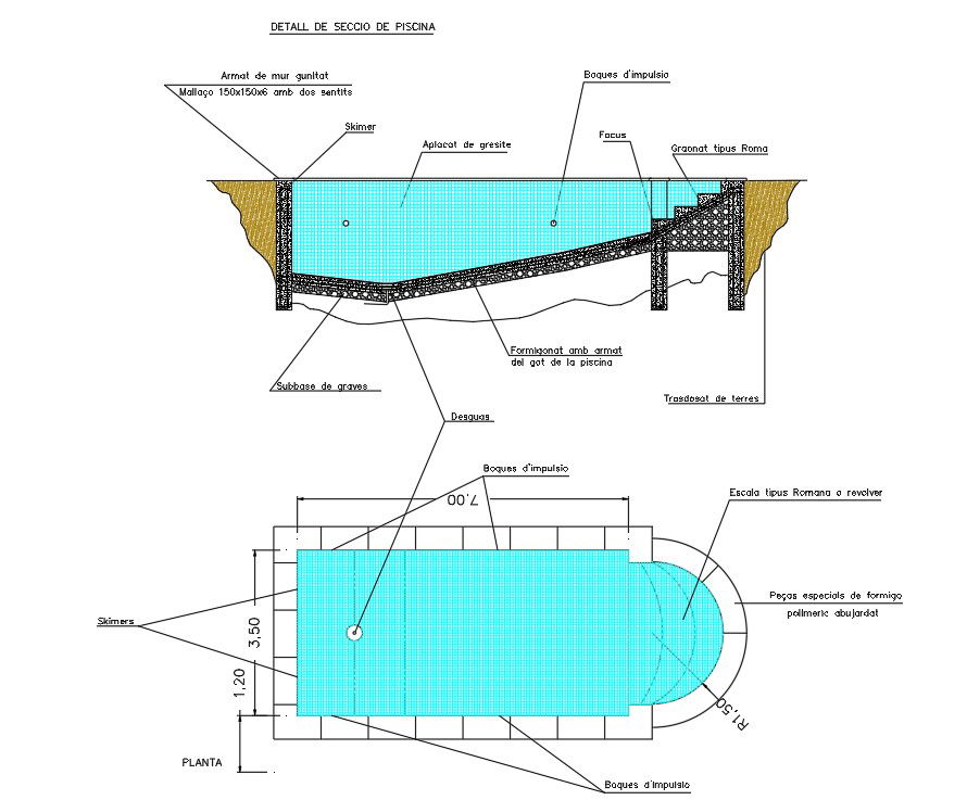 Swimming Pool Plan And Section Drawing DWG File
